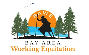 Bay Area Working Equitation Logo Bay Area Working Equitation Logo