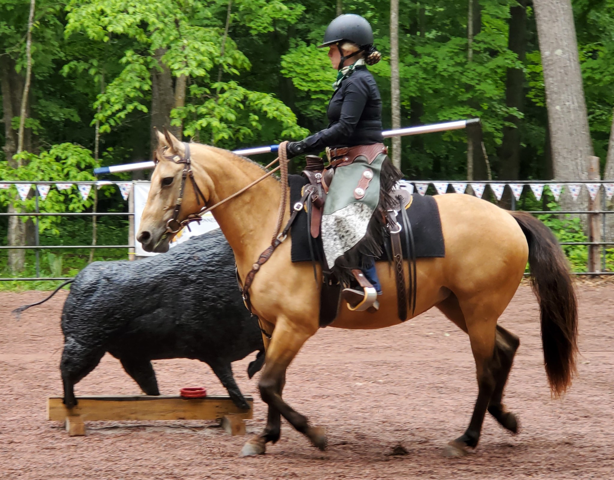 USA Working Equitation