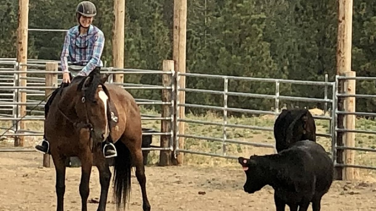 Cattle Working Janet Phinney and Nikko, Photo by Lisa Thompson