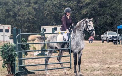 Show Report: Sandhaven Fall Jumble by Sharon Miesen