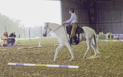 Highlander Ranch Licensed Show Report Region 4