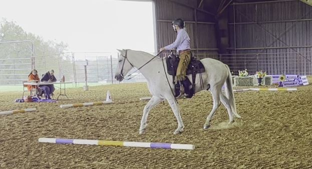 Highlander Ranch Licensed Show Report Region 4