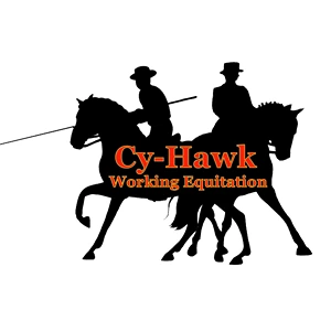 Cy-Hawk WE AO Logo Cy-Hawk WE Logo