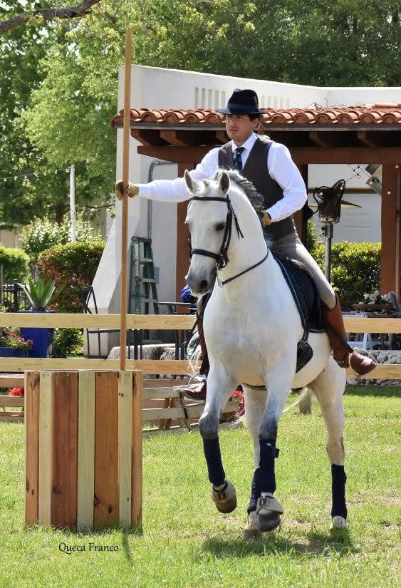 Garrocha Pole Replace