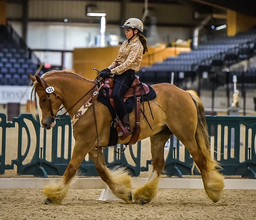 USAWE Youth 11 USAWE Youth