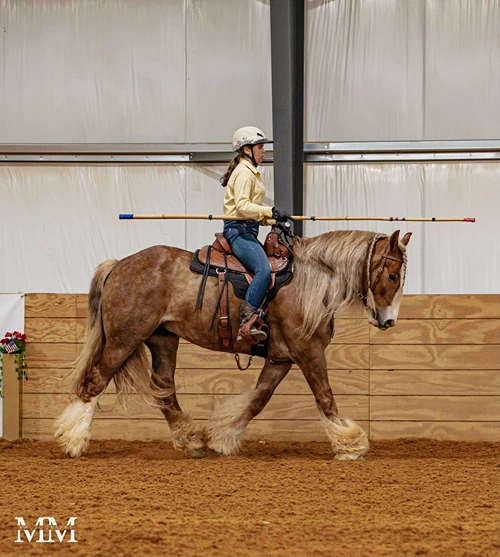 USAWE Youth 5 USAWE Youth