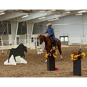 Working Equitation Green Country Oklahoma Working Equitation Green Country Oklahoma