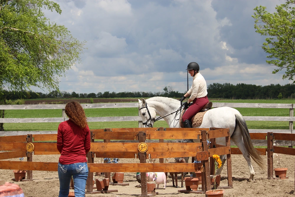 USAWE Professional Instructor and Caitlin O'Toole riding Decano XLI USAWE Professional Instructor and Caitlin O'Toole riding Decano XLI