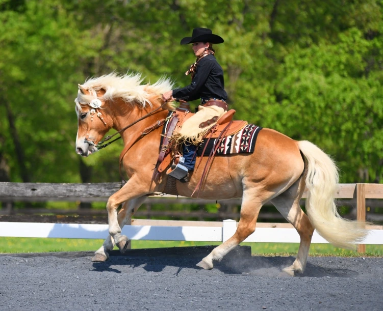 Emily Kemp riding