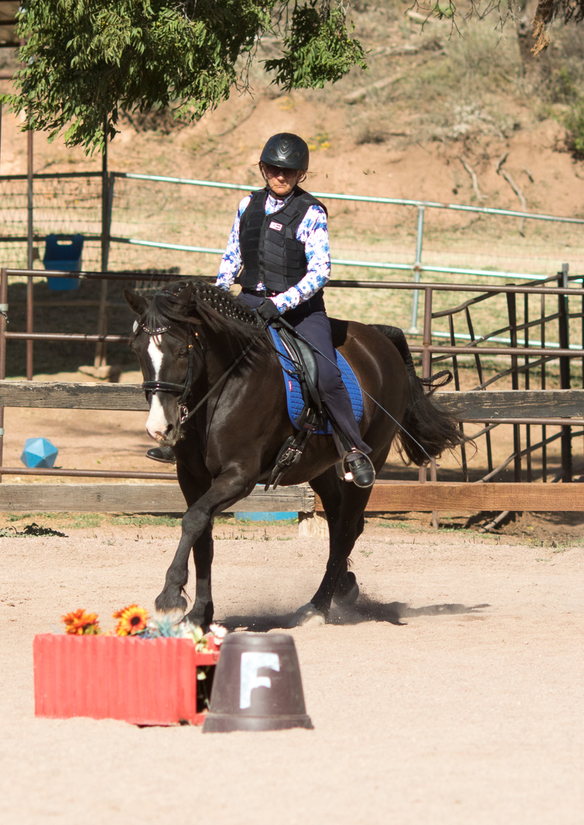 Judy Mackenzie riding Adele Sept 2023 Judy Mackenzie riding Adele Sept 2023
