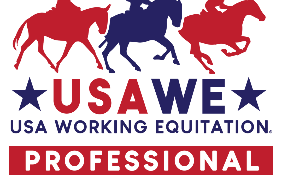 Professional Development Committee November 2024 News