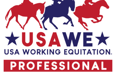 Professional Development Committee December 2024 News