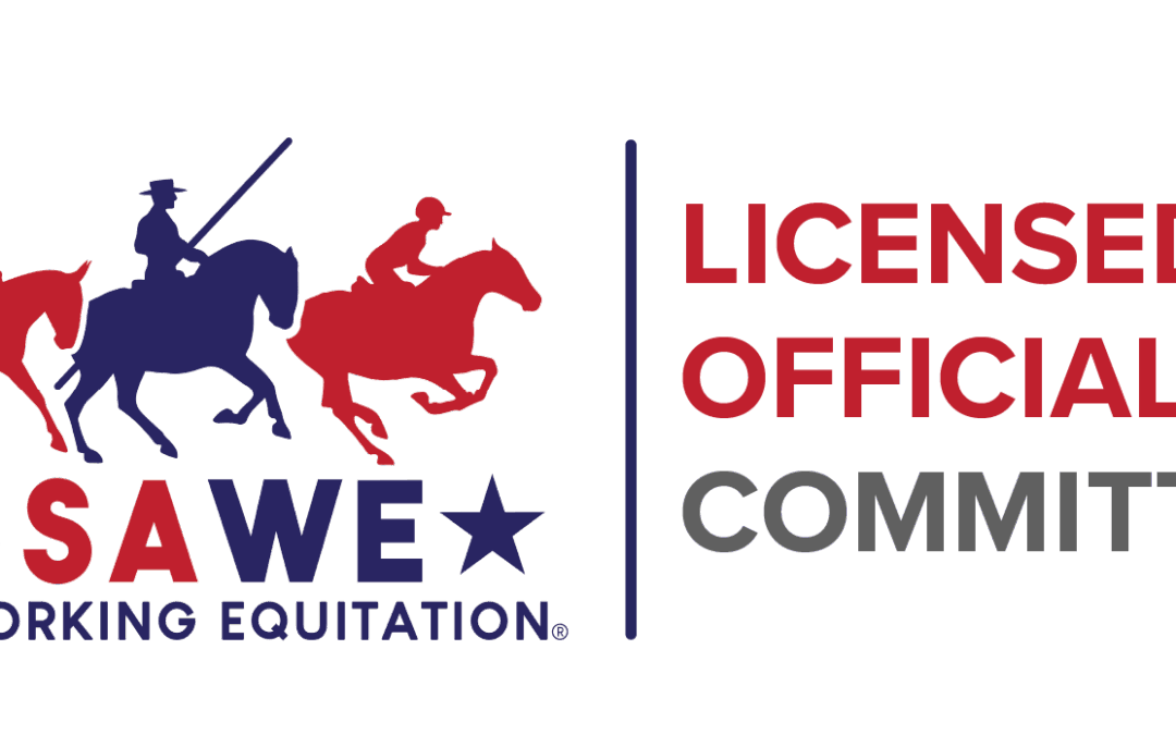 Licensed Officials Committee August 2025 News