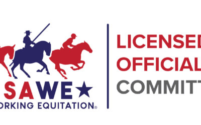 Licensed Officials Committee August 2025 News
